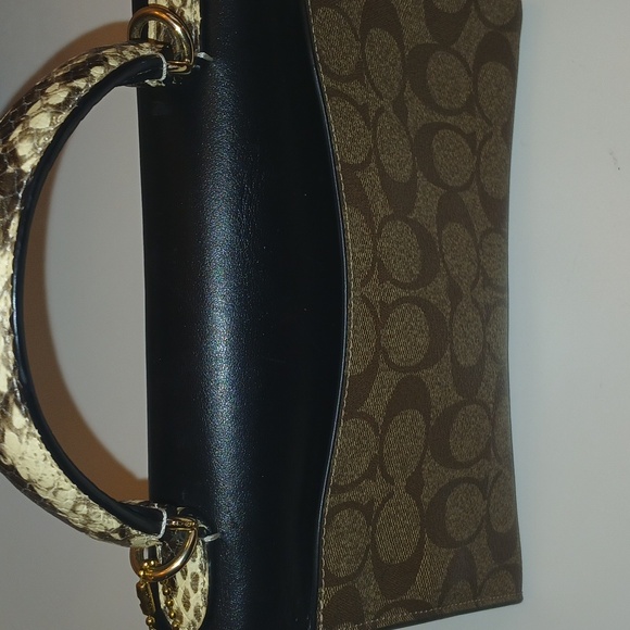 Coach Pepper - Picture 8 of 16